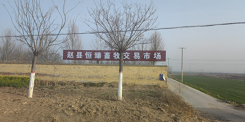 1735702402314316.jpg
