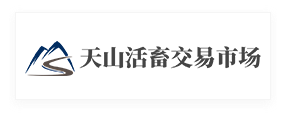 天山活畜交易市场