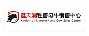 鑫天润牲畜母牛销售中心